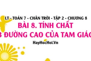 Tính chất 3 đường cao của tam giác? Toán 7 chân trời tập 2 chương 8 bài 8